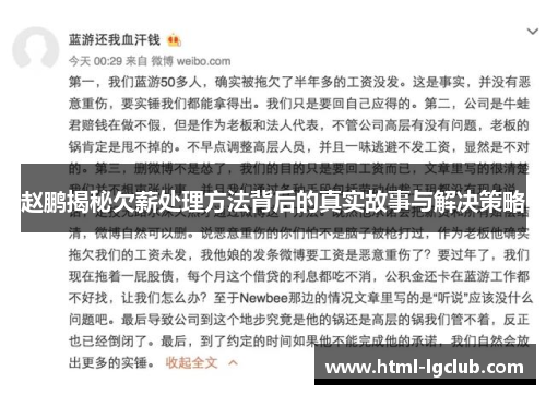 赵鹏揭秘欠薪处理方法背后的真实故事与解决策略