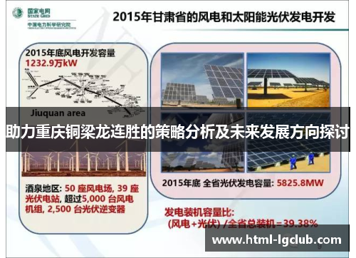 助力重庆铜梁龙连胜的策略分析及未来发展方向探讨
