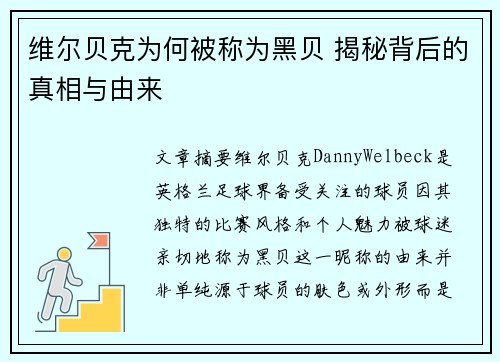 维尔贝克为何被称为黑贝 揭秘背后的真相与由来